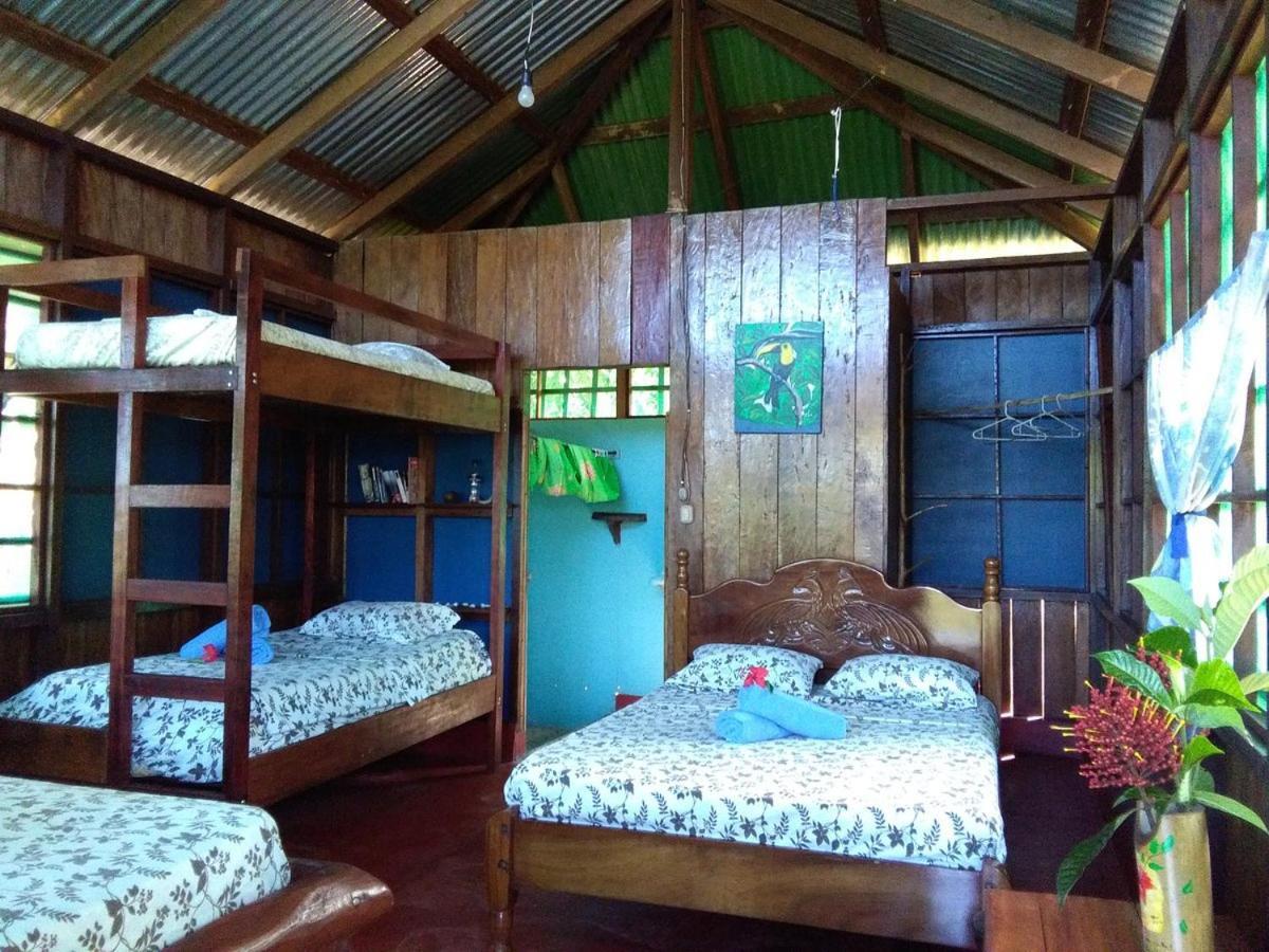 Vista Alta Ecolodge Bahia Drake Drakes Bay Exterior foto