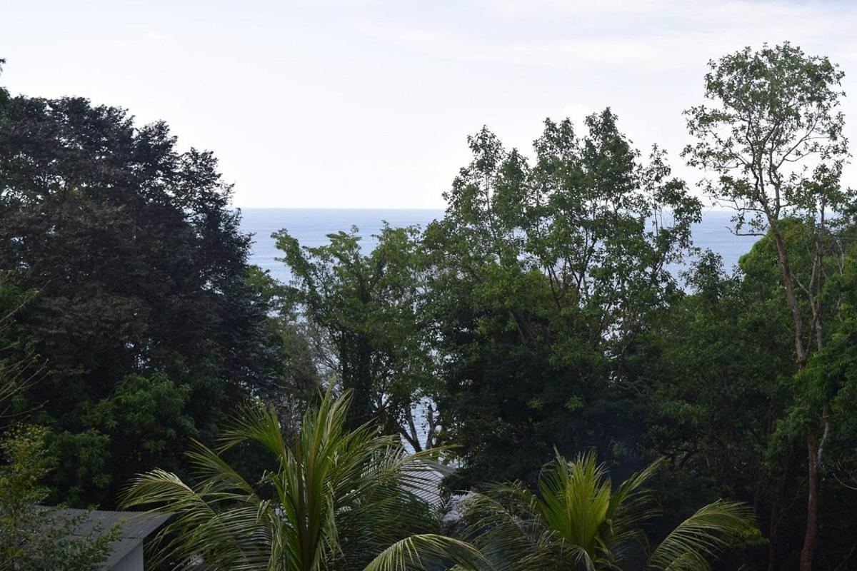 Vista Alta Ecolodge Bahia Drake Drakes Bay Exterior foto
